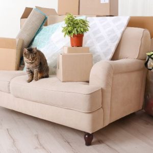 Woven Seagrass Storage Basket